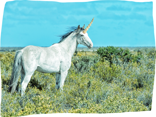 ユニコーン画像01
